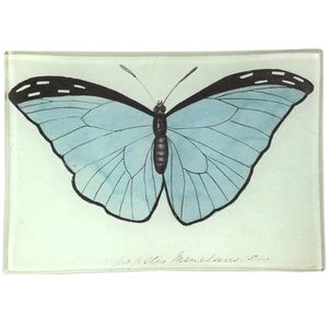 John Derian Blue Papilio (Butterfly) Mini Tray